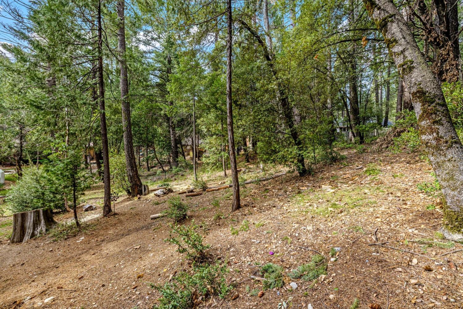 15994 Mountain View Drive