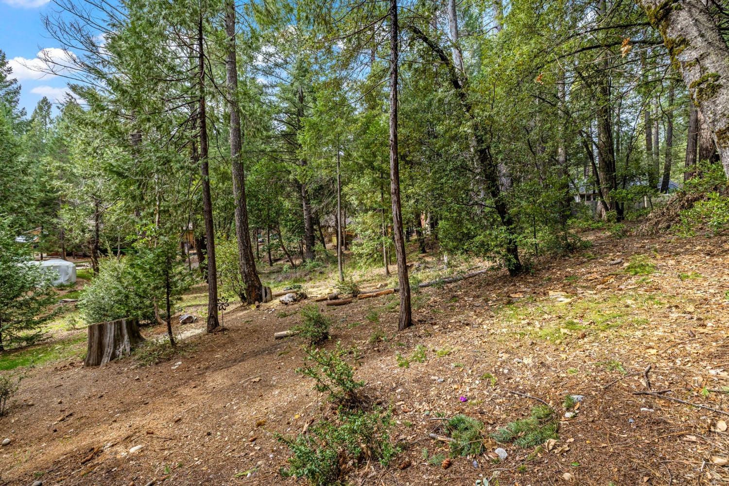 15994 Mountain View Drive