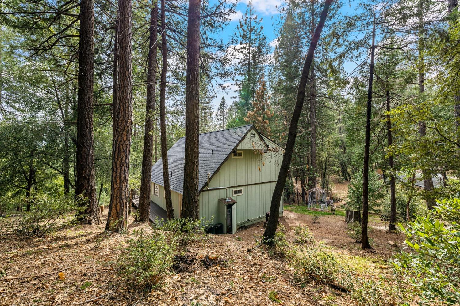 15994 Mountain View Drive