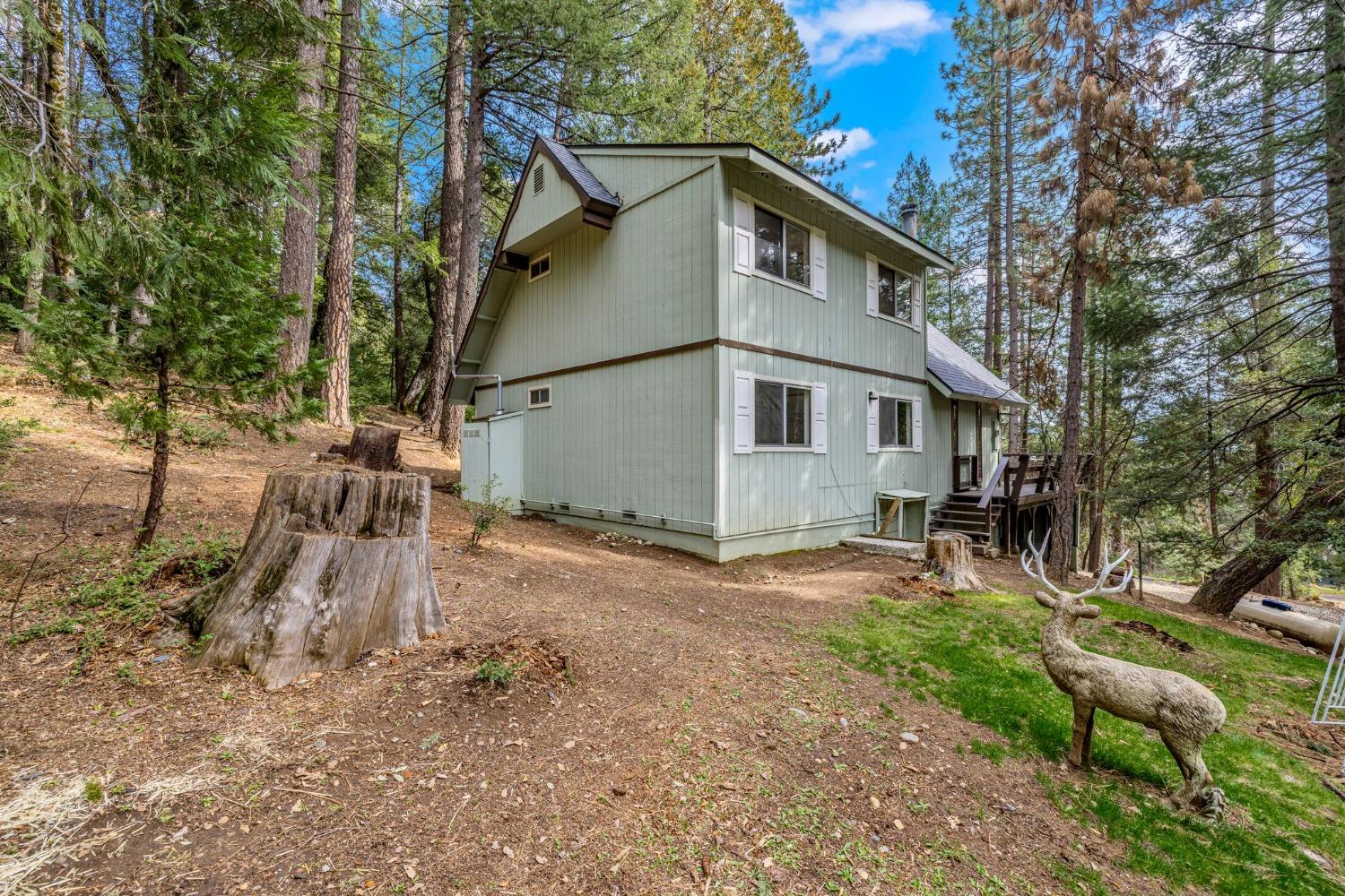 15994 Mountain View Drive