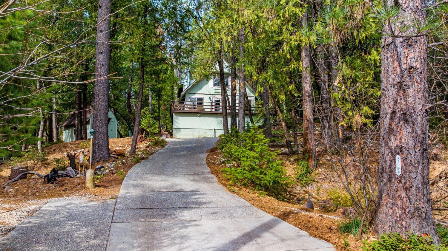 15994 Mountain View Drive
