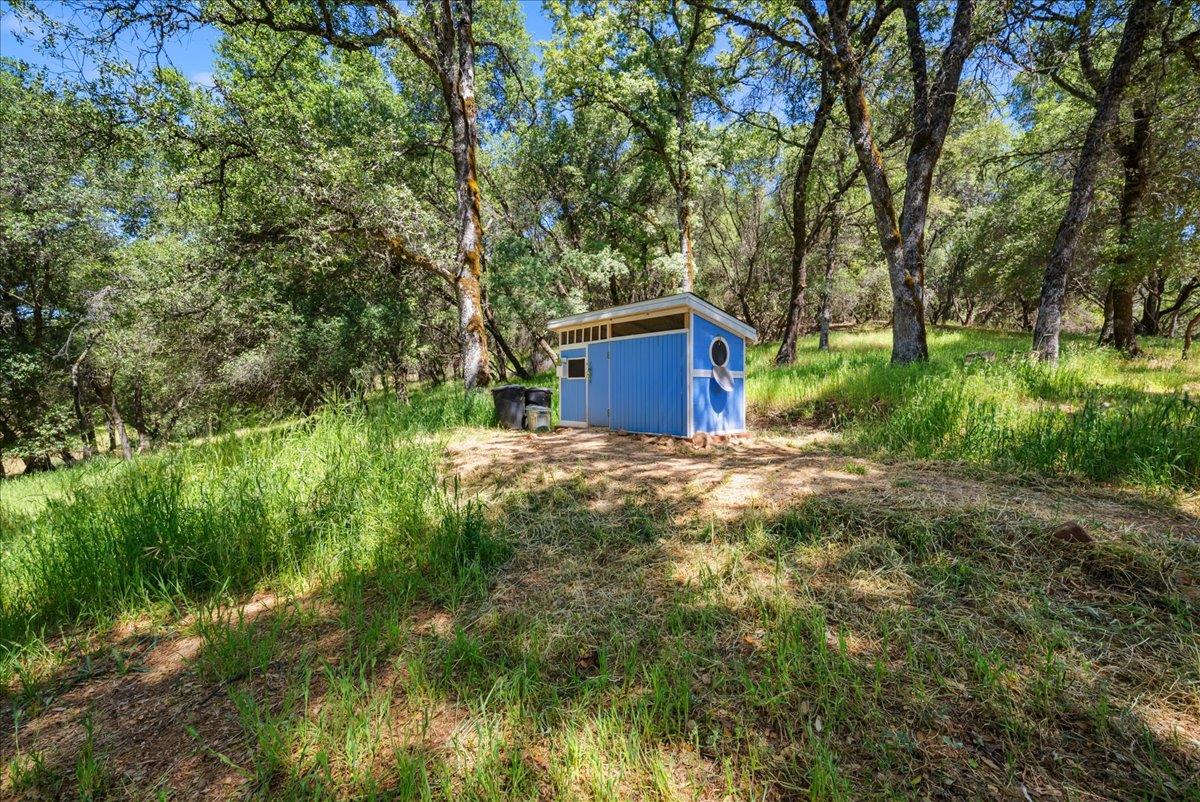 10048 Pineapple Court