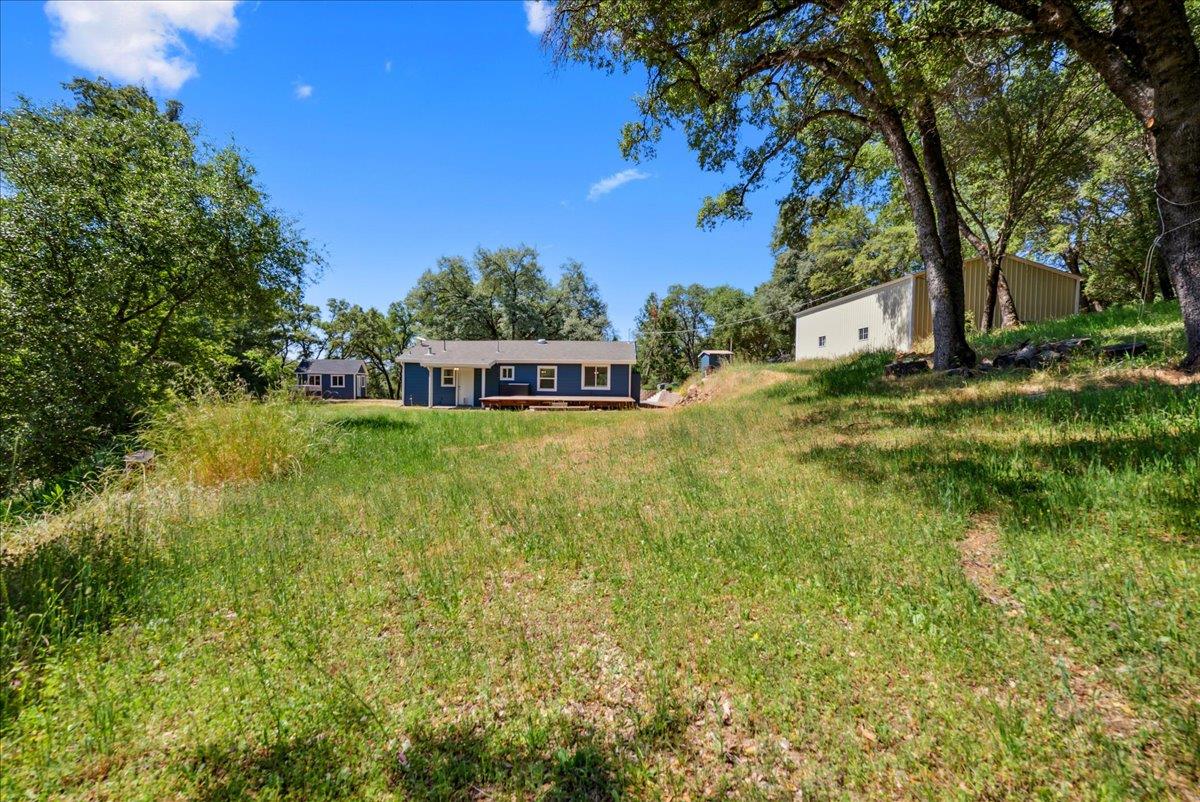 10048 Pineapple Court