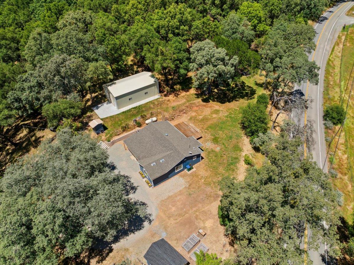 10048 Pineapple Court