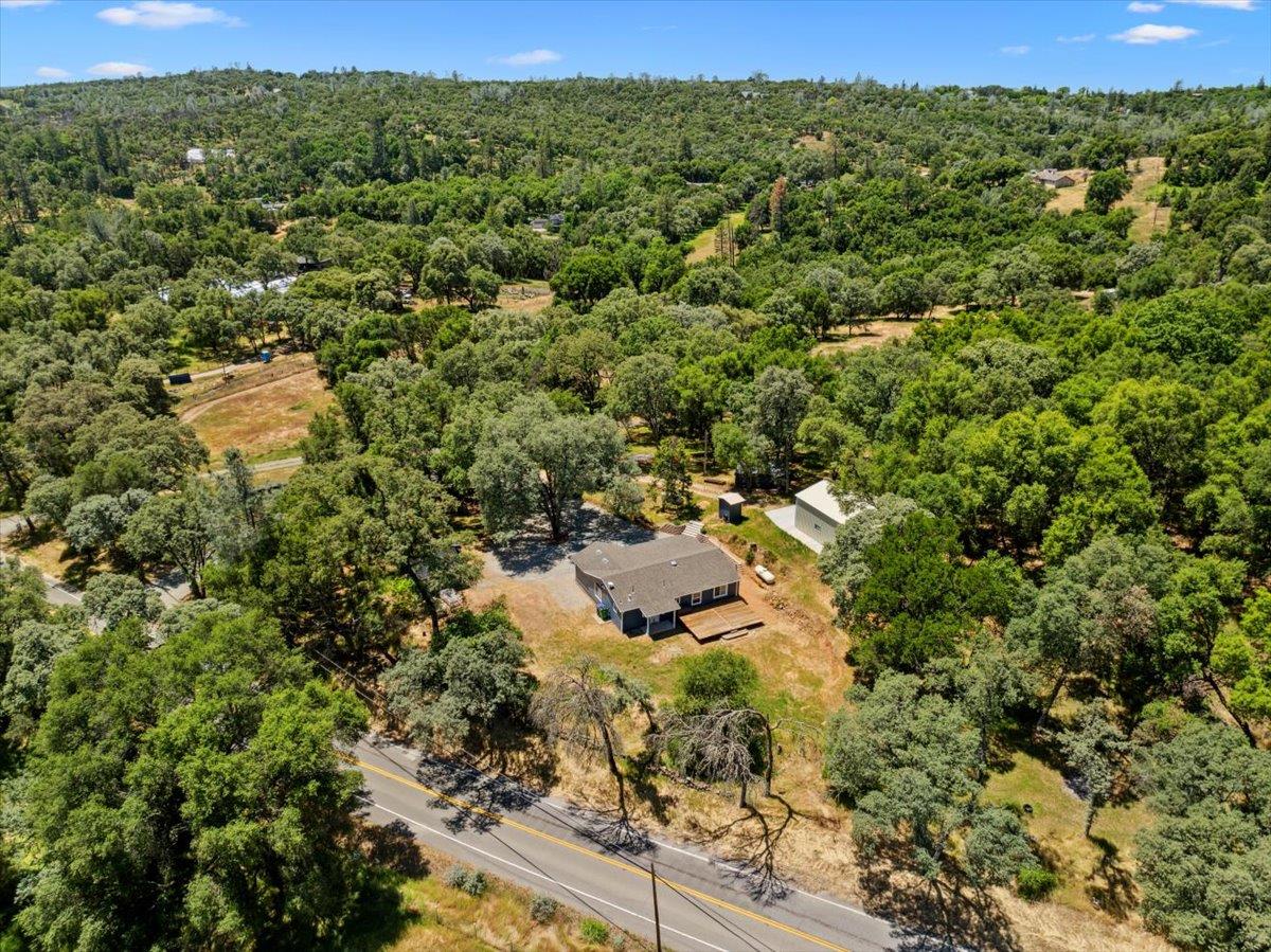 10048 Pineapple Court
