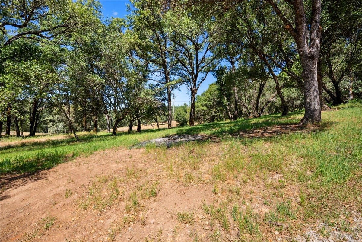 10048 Pineapple Court