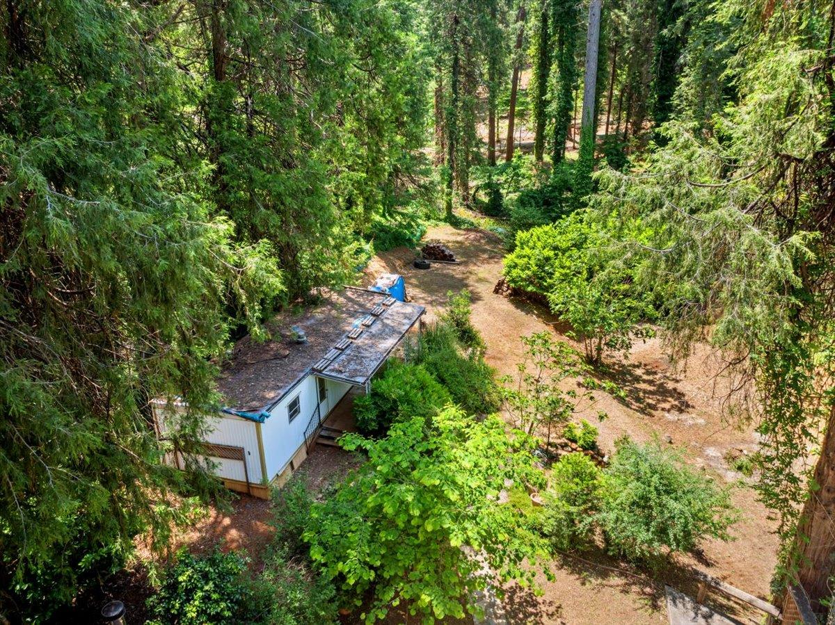 13169 Dogwood Lane