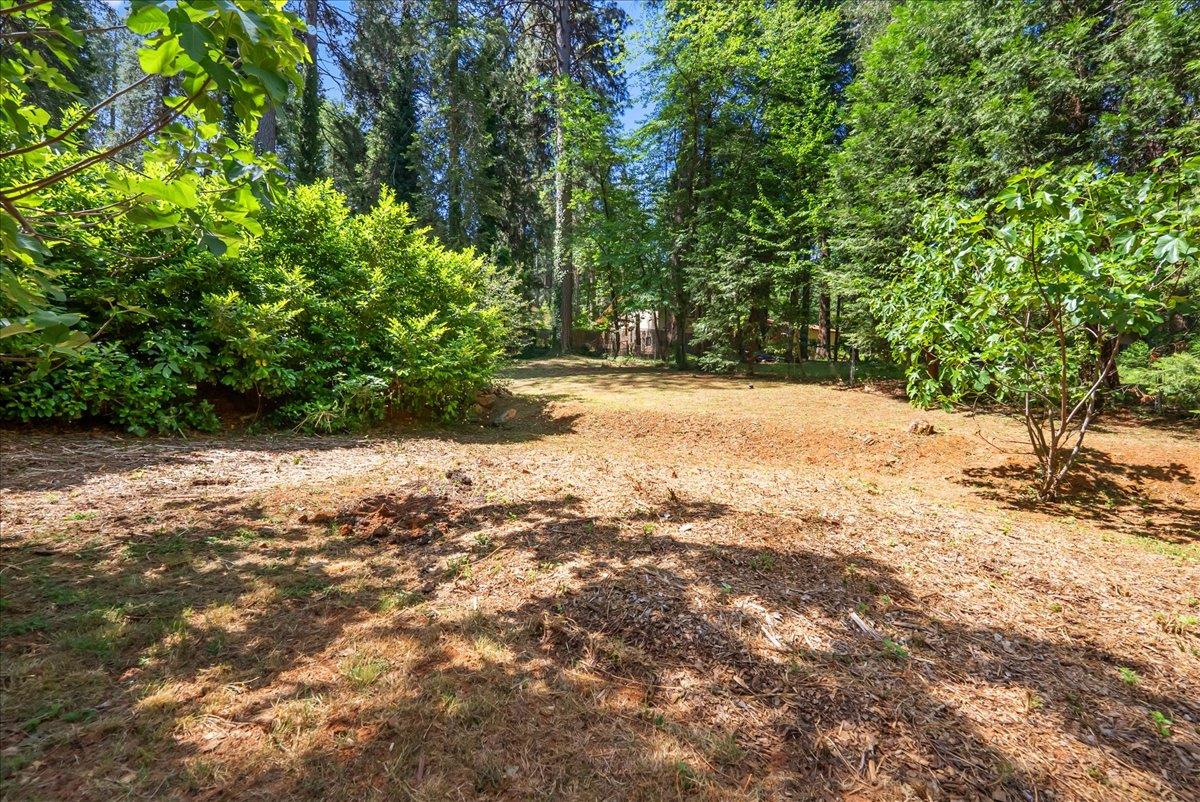13169 Dogwood Lane
