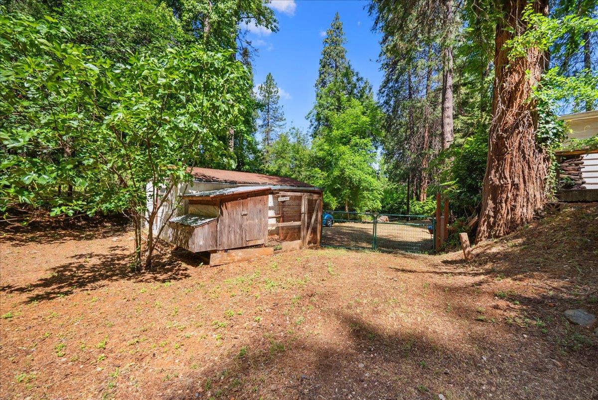 13169 Dogwood Lane