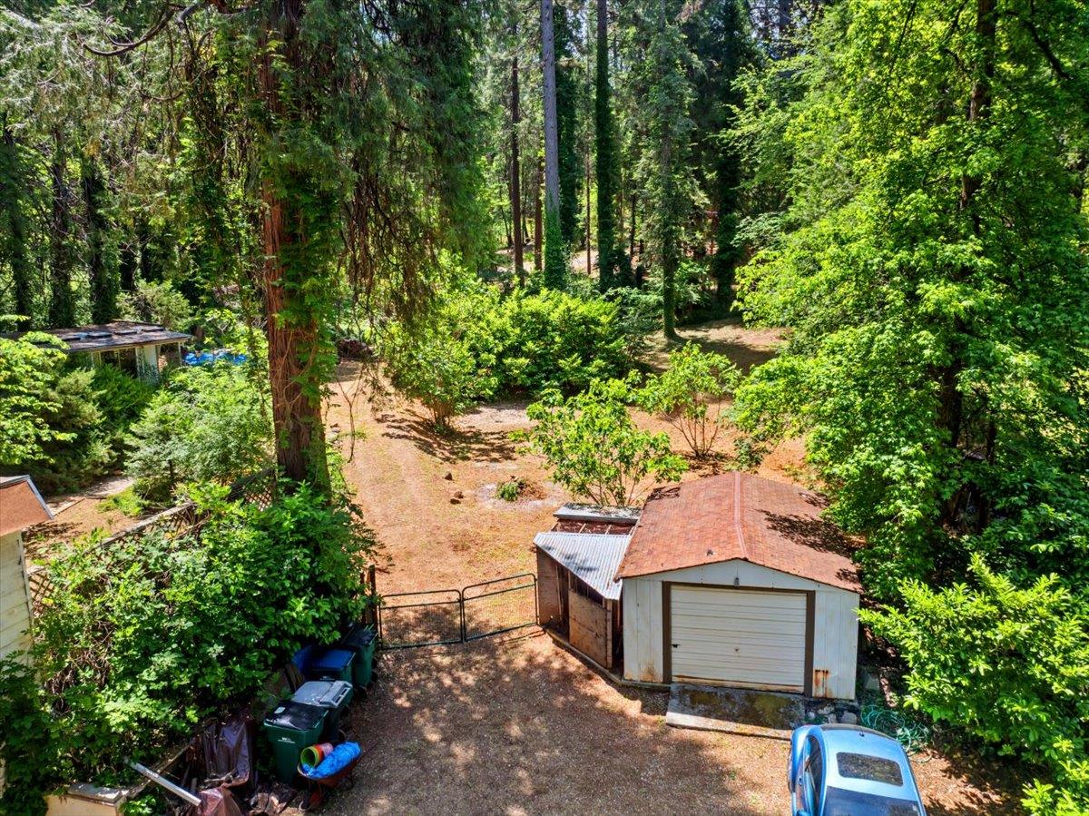 13169 Dogwood Lane