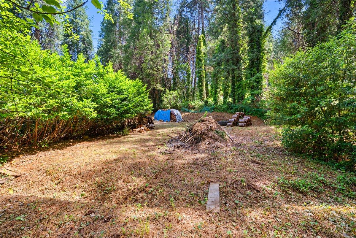 13169 Dogwood Lane