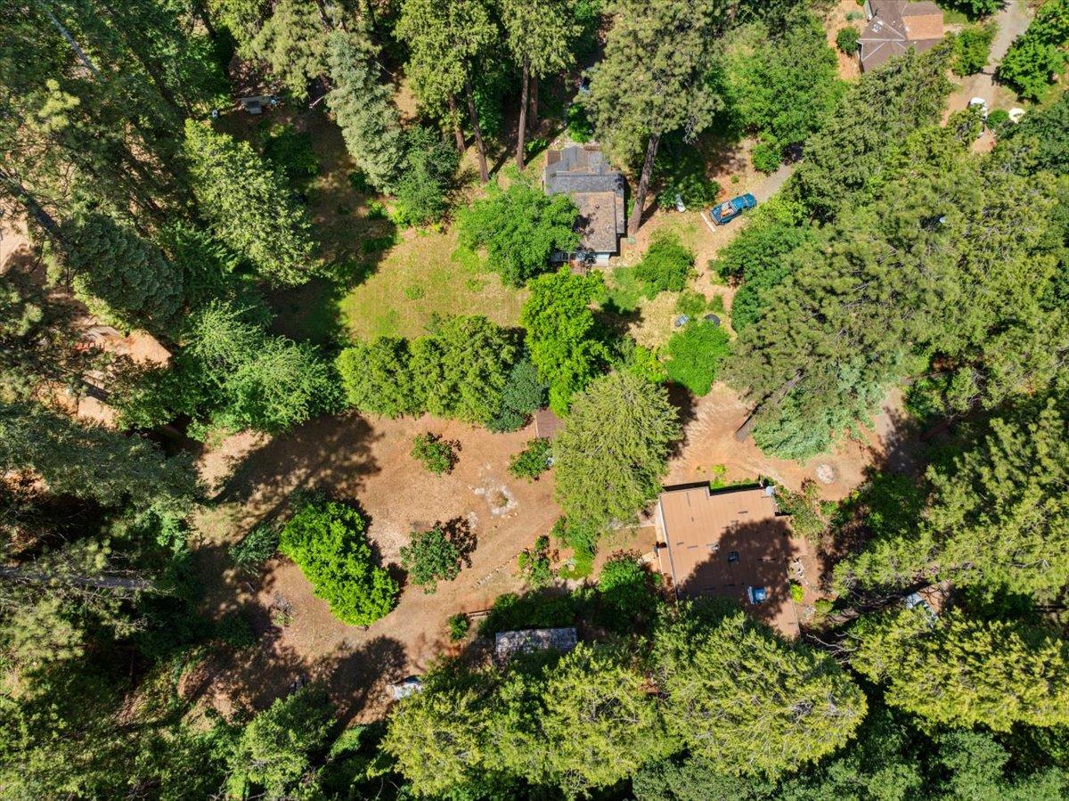 13169 Dogwood Lane