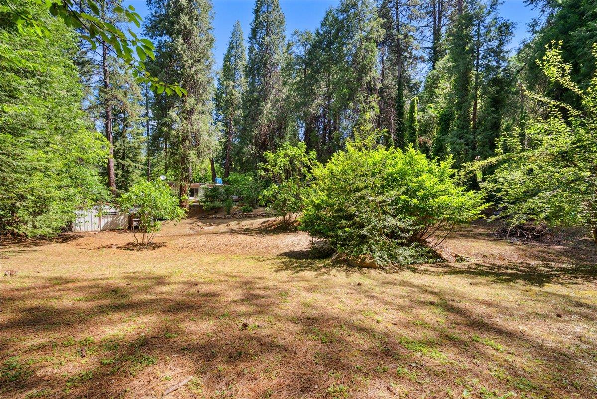 13169 Dogwood Lane