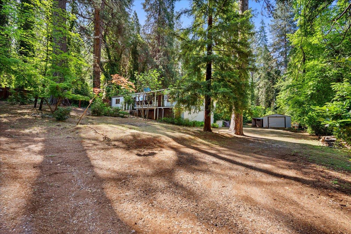 13169 Dogwood Lane