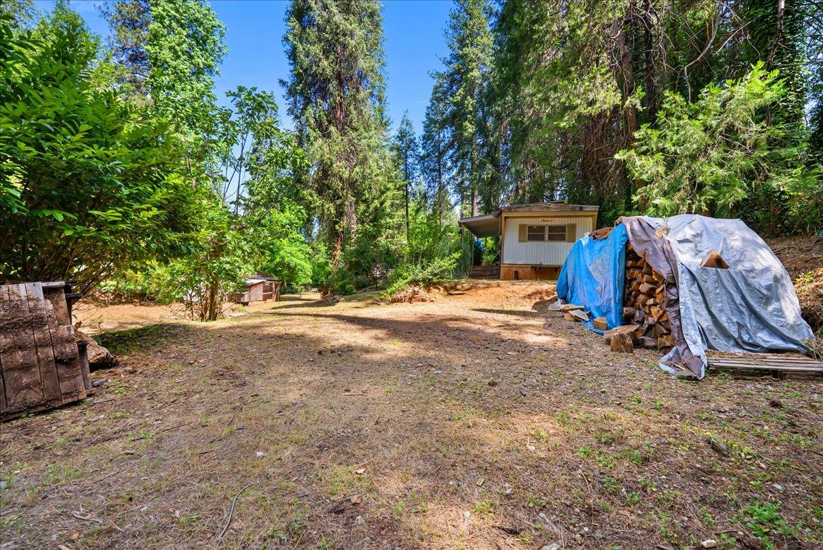 13169 Dogwood Lane