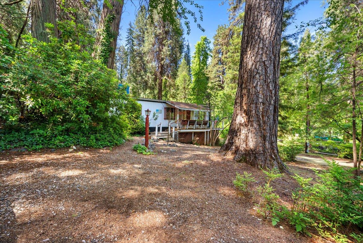 13169 Dogwood Lane