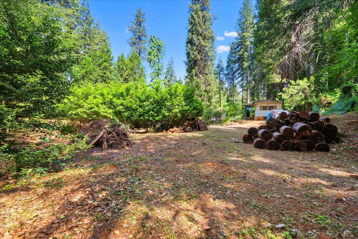 13169 Dogwood Lane