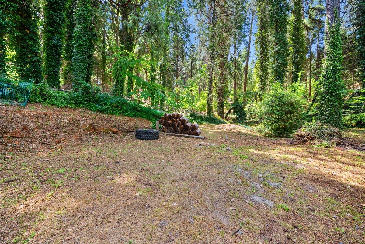 13169 Dogwood Lane