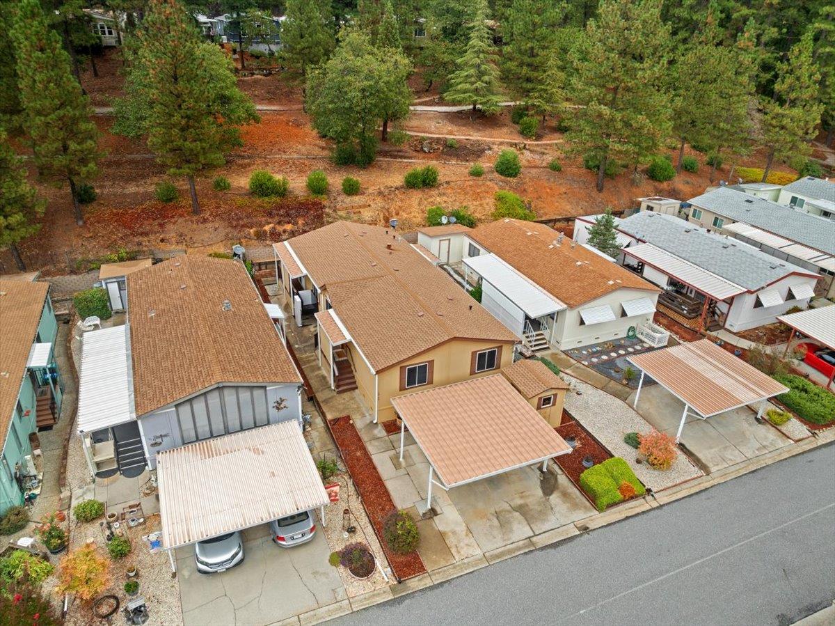 10130 Timberland Drive