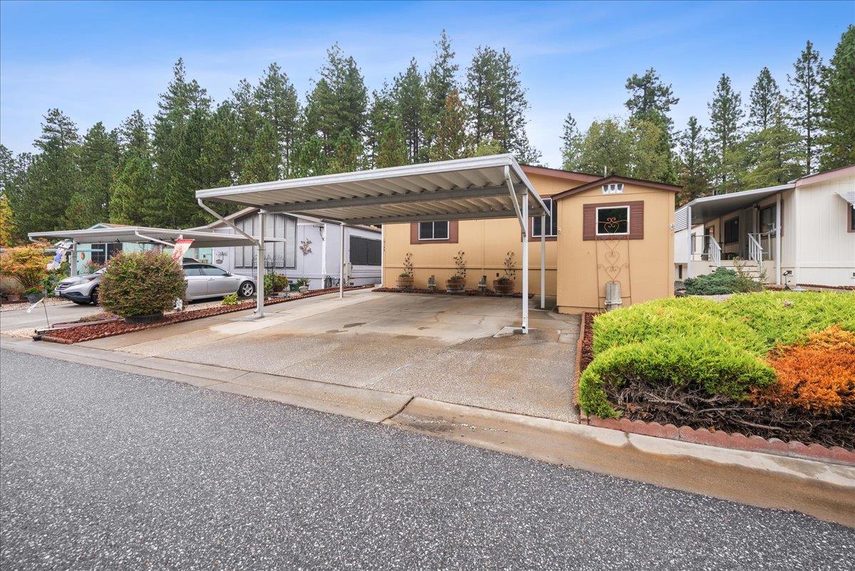 10130 Timberland Drive
