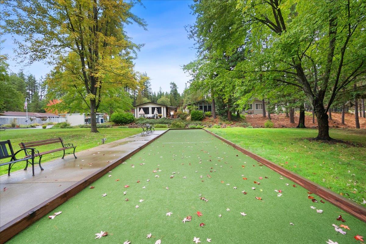 10130 Timberland Drive