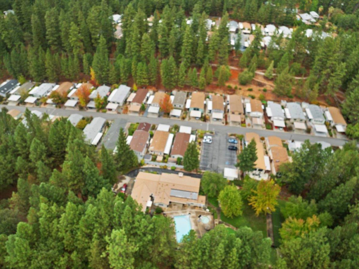 10130 Timberland Drive