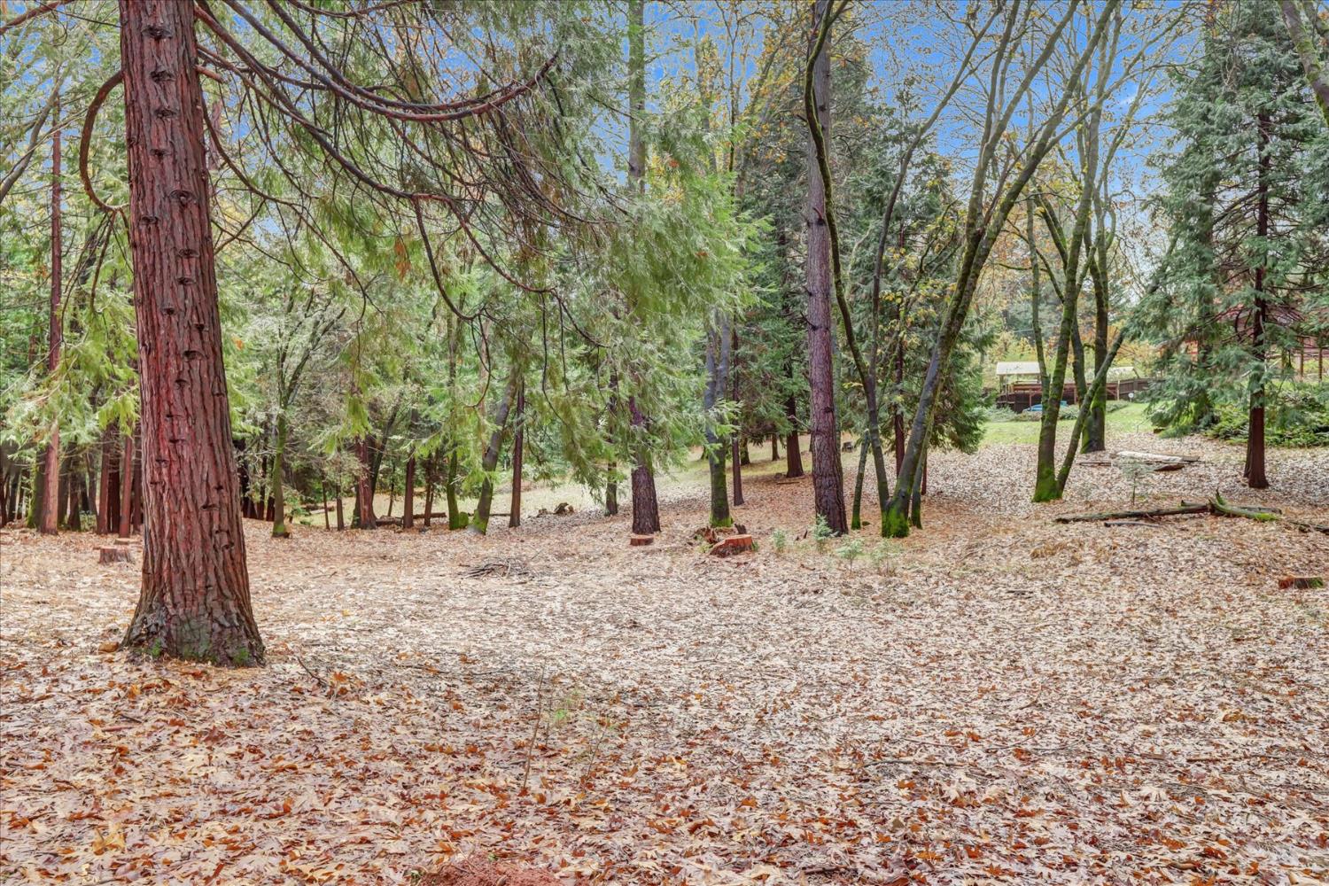 15081 Rattlesnake Road