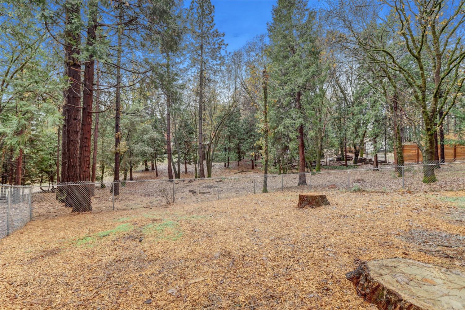 15081 Rattlesnake Road