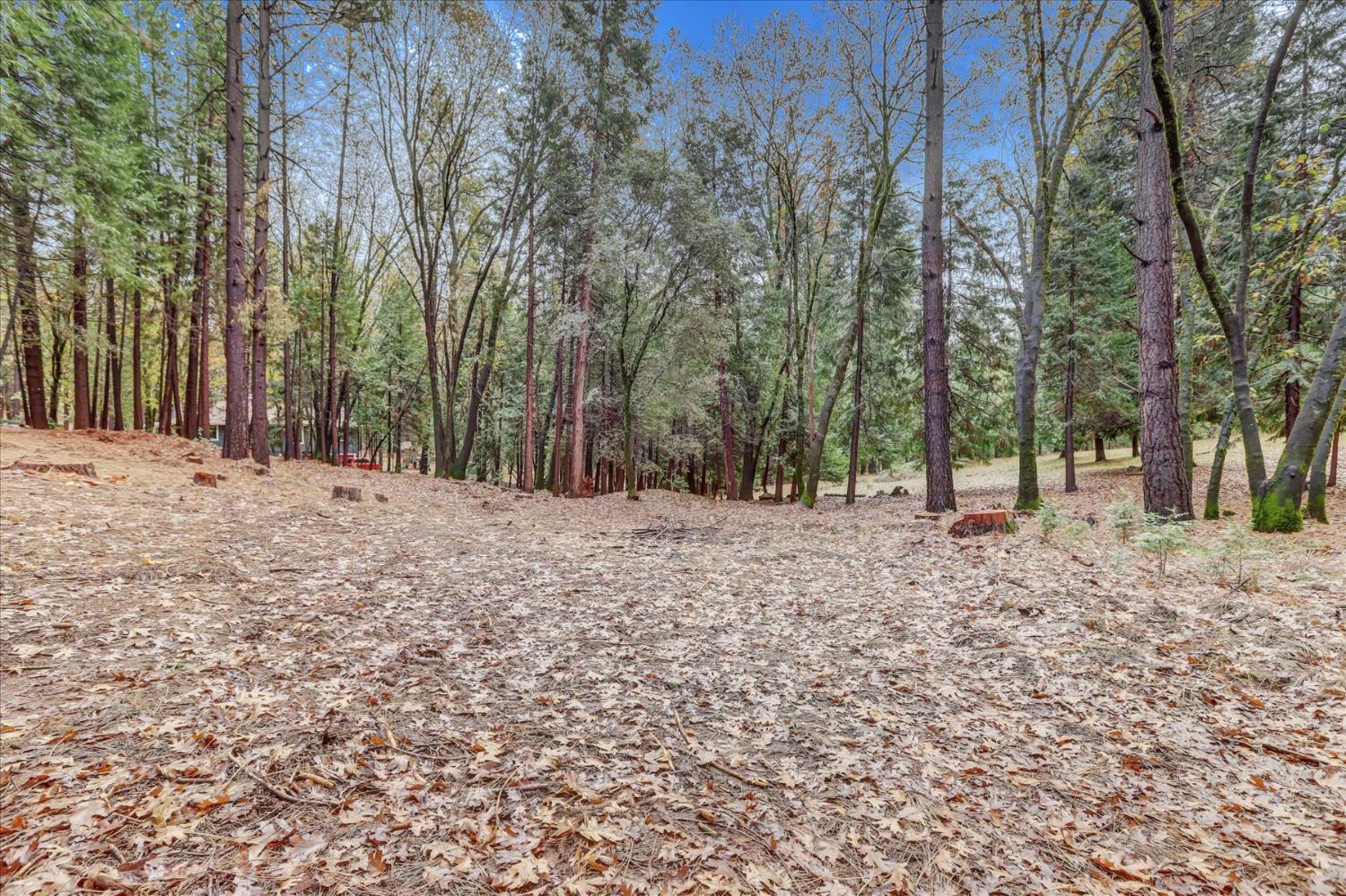 15081 Rattlesnake Road