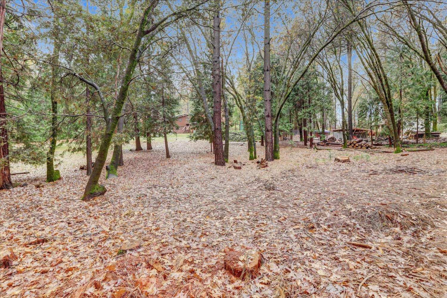 15081 Rattlesnake Road