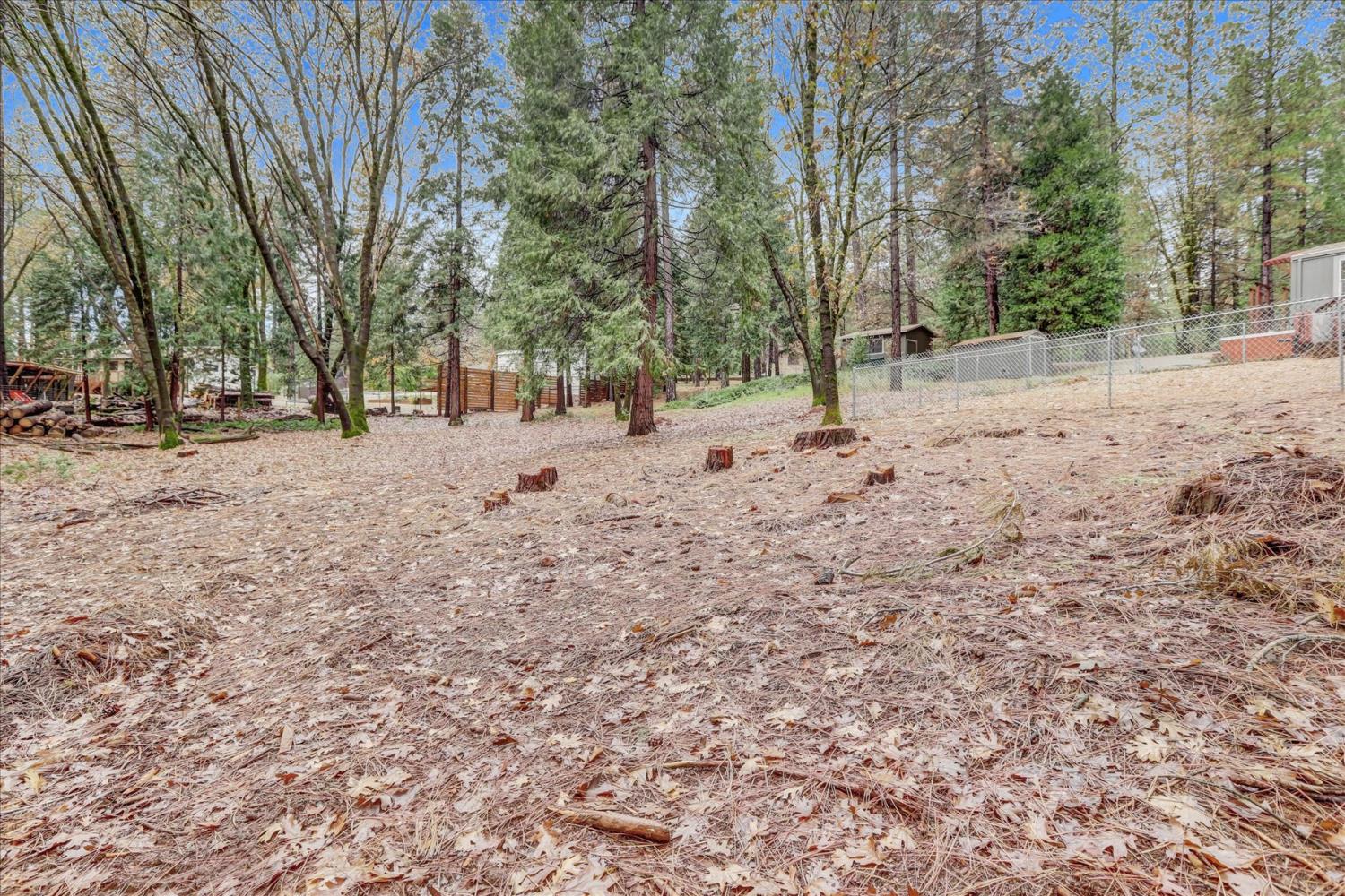15081 Rattlesnake Road