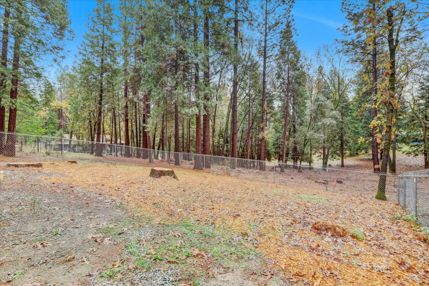 15081 Rattlesnake Road