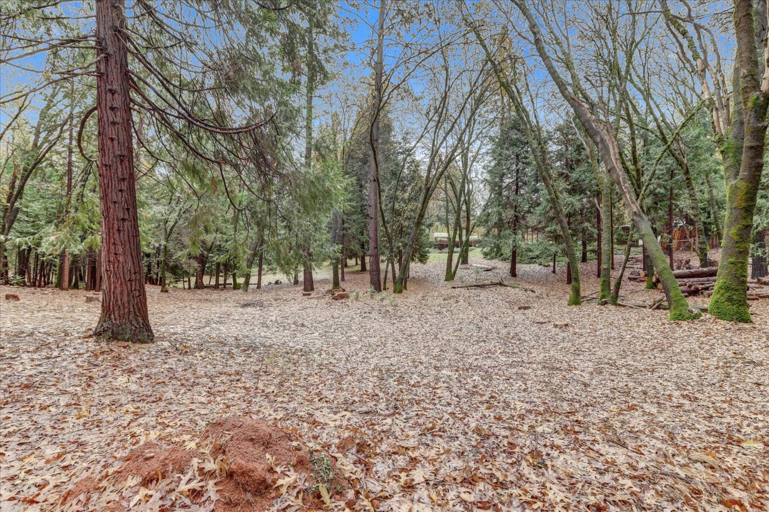 15081 Rattlesnake Road