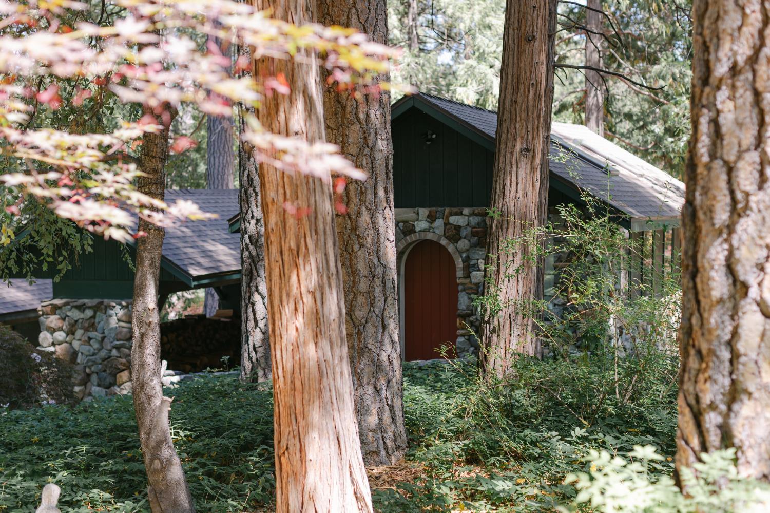 14153 Misty Meadow Lane