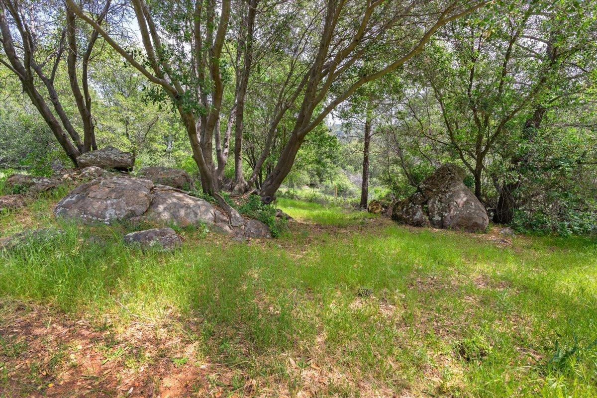 12105 Shepard Road