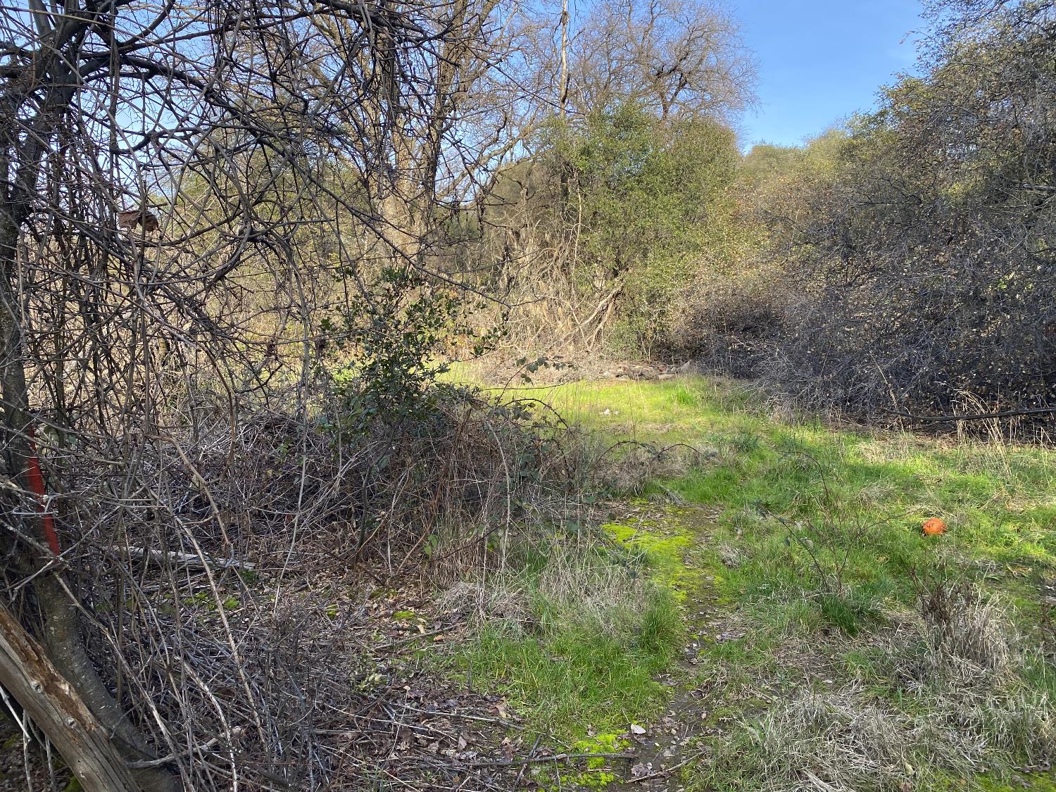 10720 Rough and ready Rd