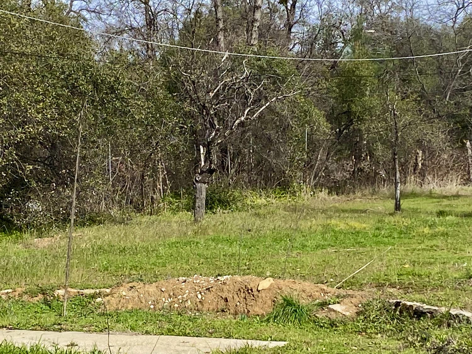 10720 Rough and ready Rd