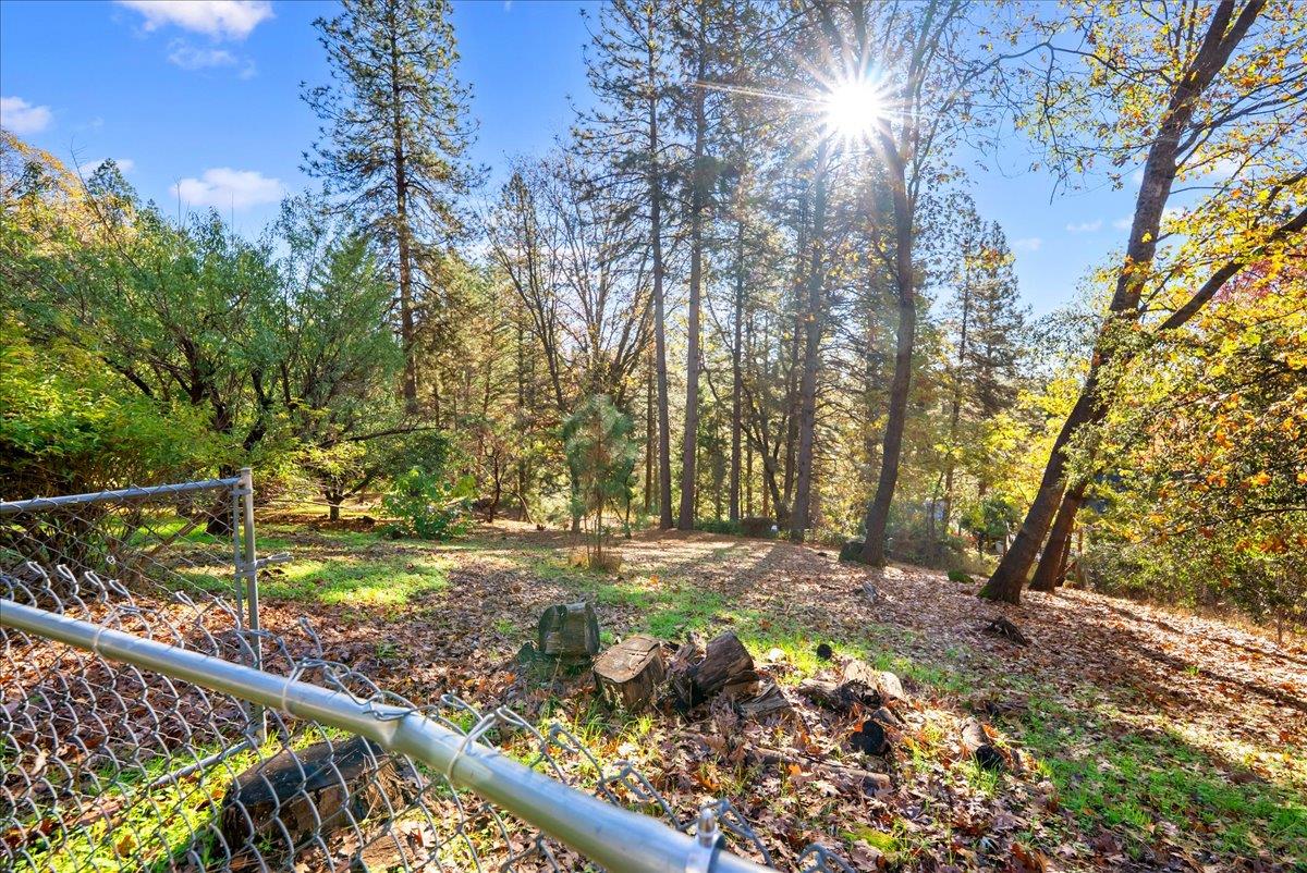 11977 Alta Sierra Drive