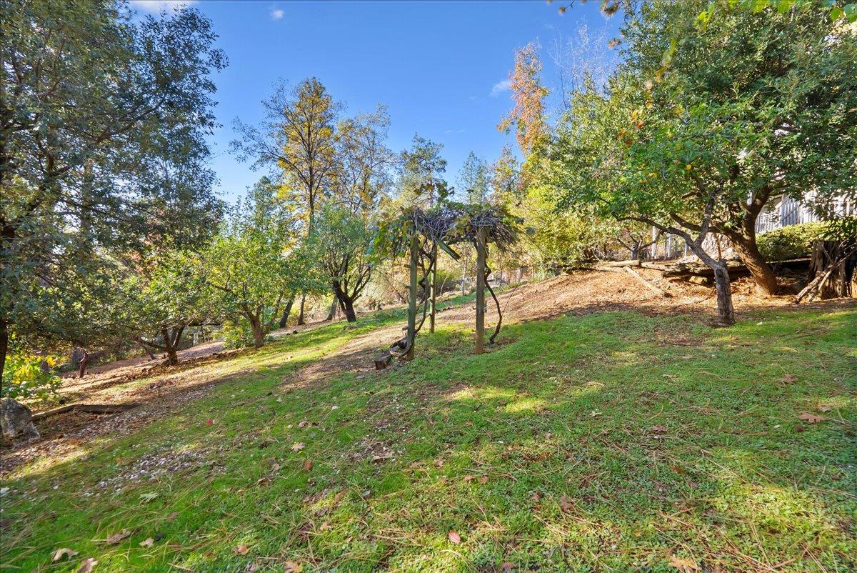 11977 Alta Sierra Drive