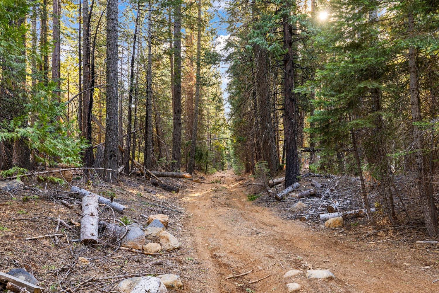 16277 Ophir Silver Road