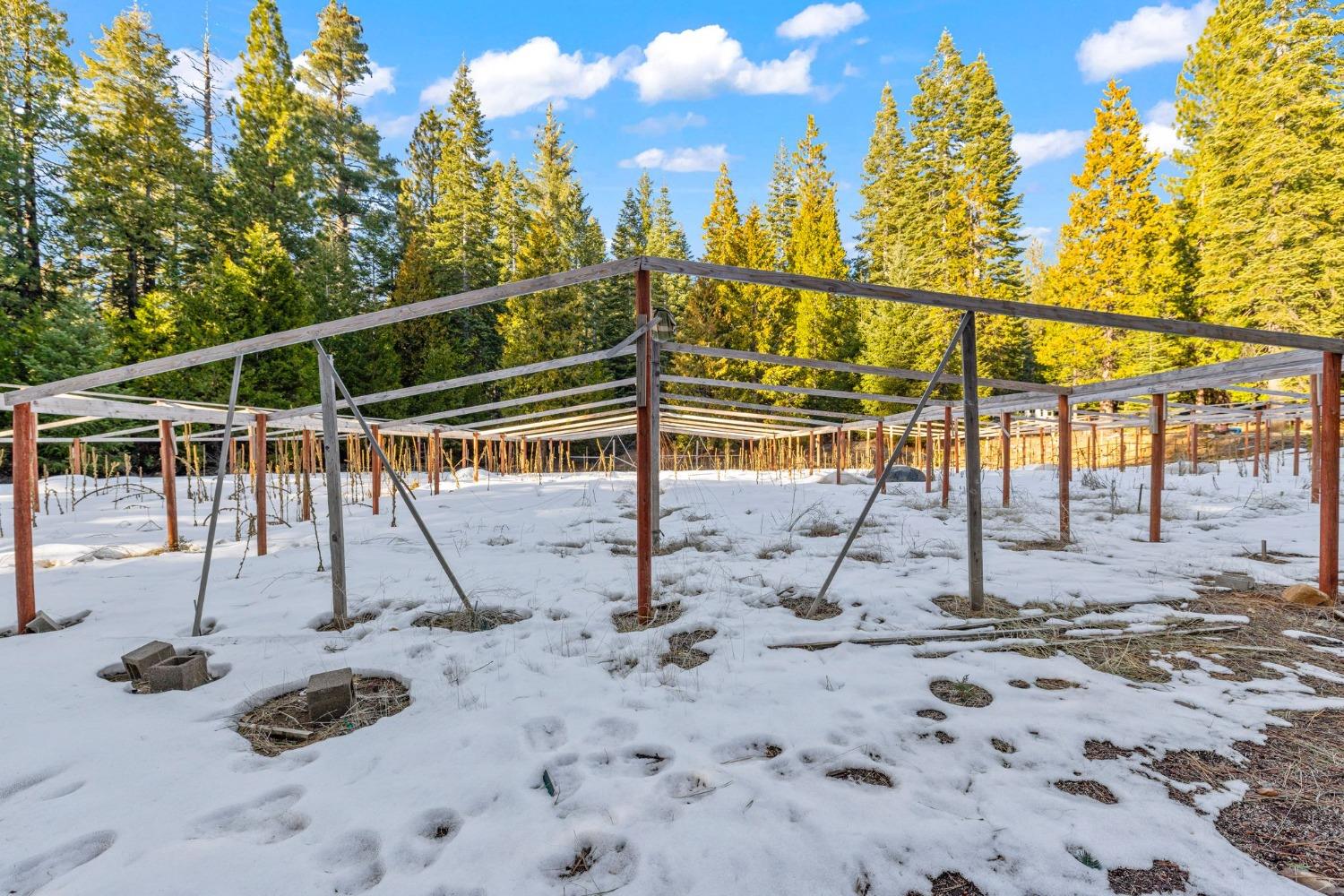 16277 Ophir Silver Road