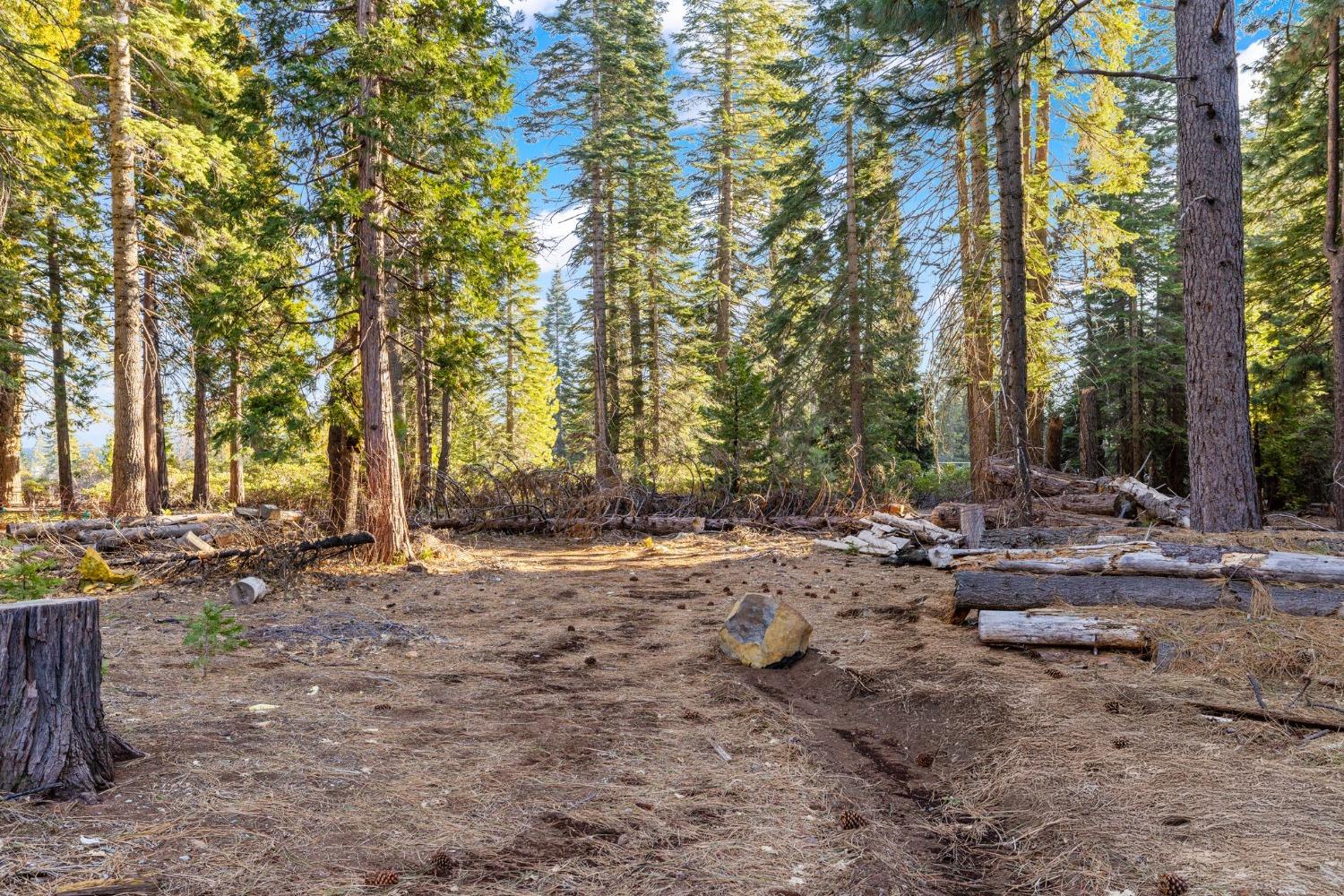 16277 Ophir Silver Road