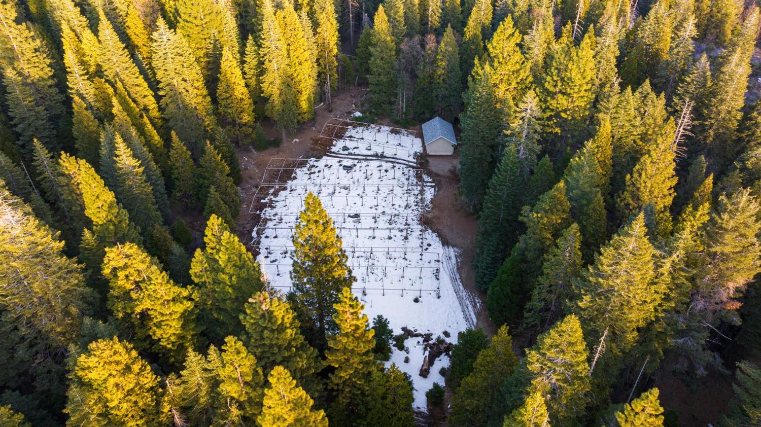 16277 Ophir Silver Road