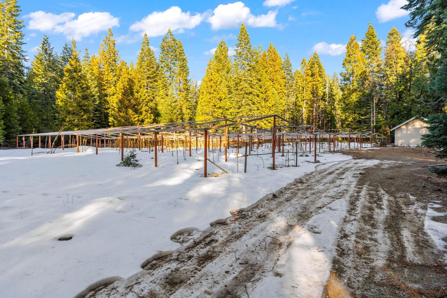 16277 Ophir Silver Road