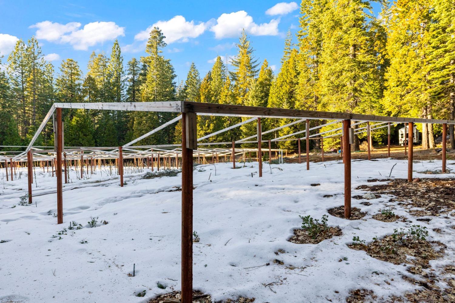 16277 Ophir Silver Road