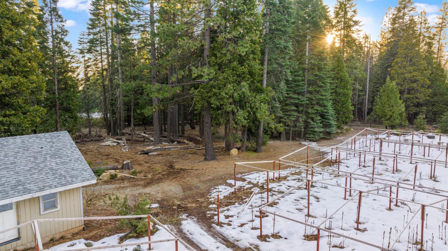 16277 Ophir Silver Road