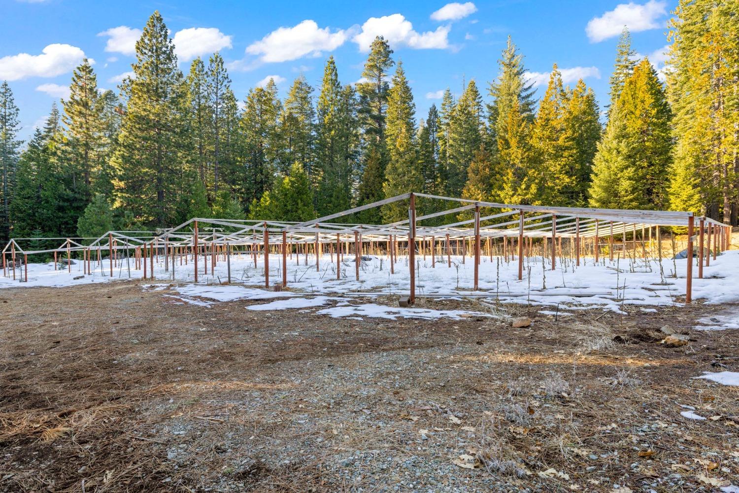 16277 Ophir Silver Road