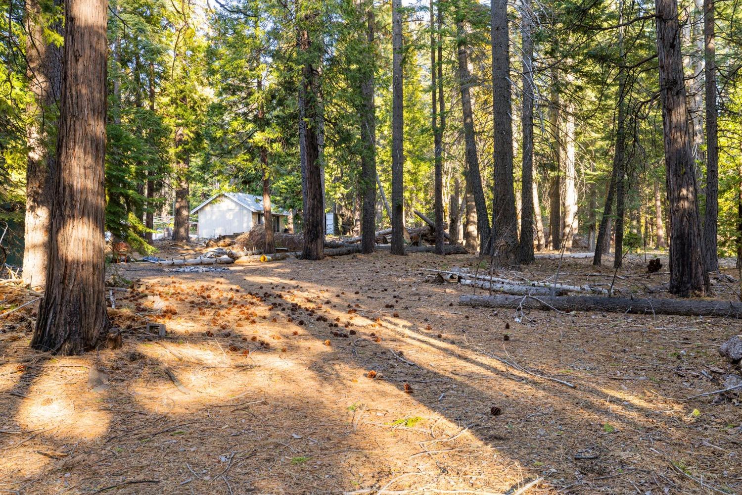 16277 Ophir Silver Road