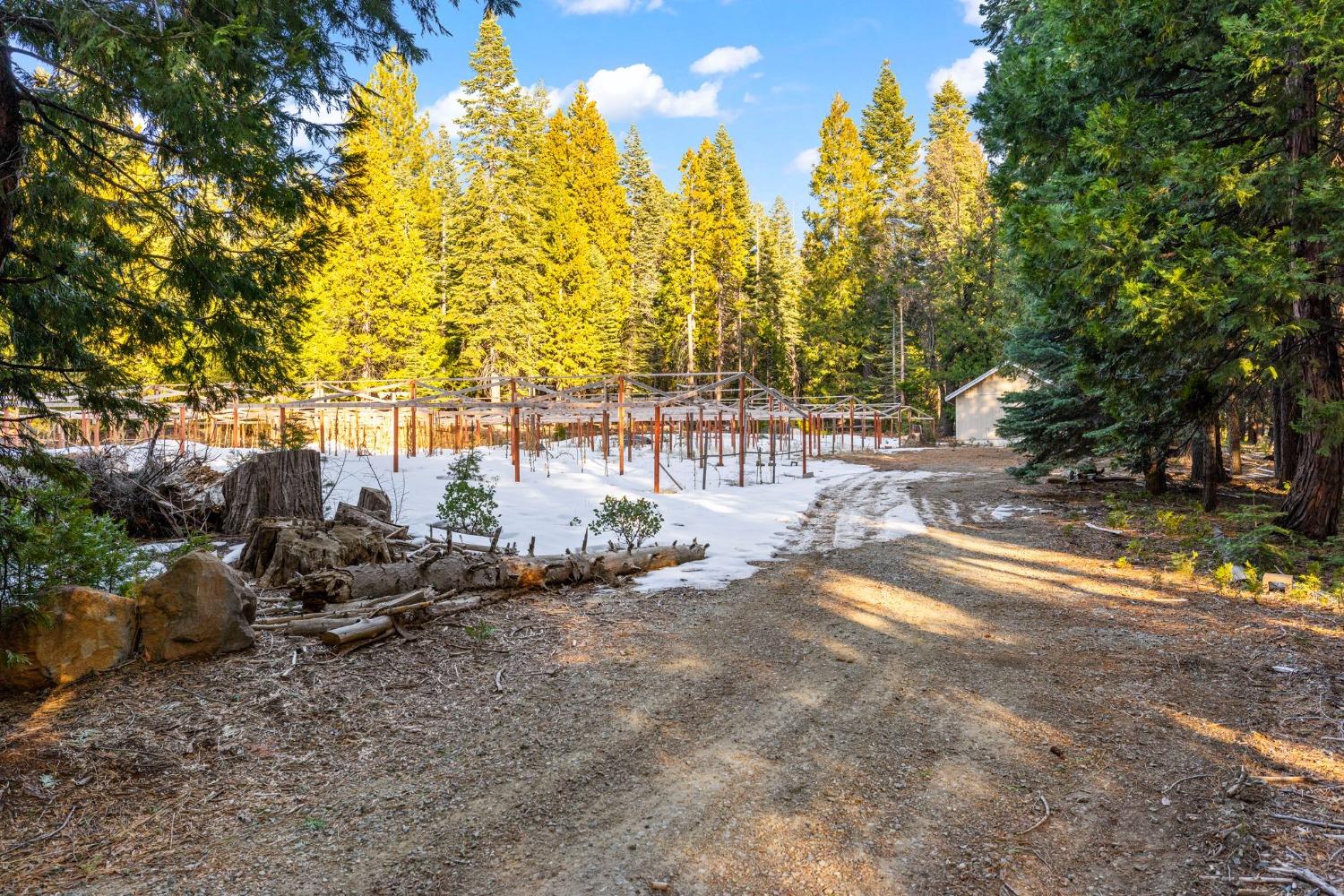 16277 Ophir Silver Road