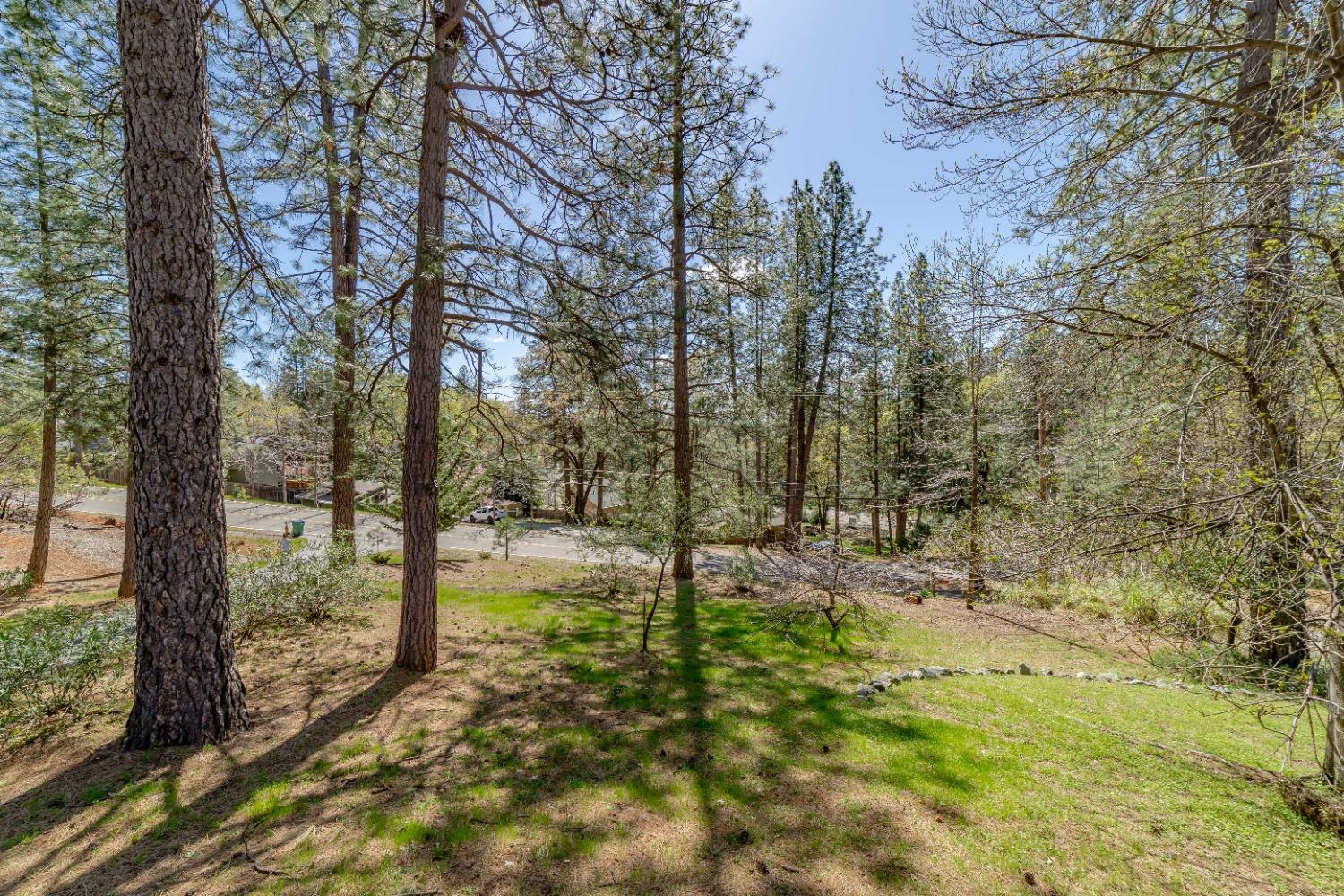 18370 Norlene Way
